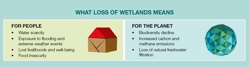 World Wetlands Day 2022 - Planet
