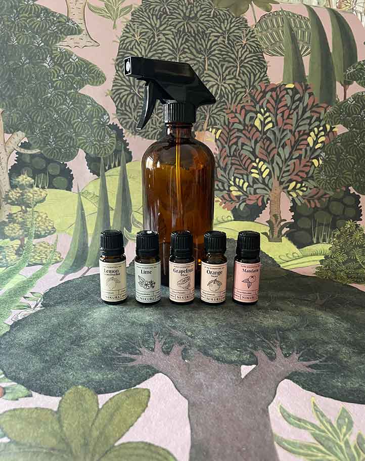 homemade-essential-oil-cleaner